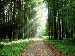 Beratung - Existenzgruendung - Foerdermittel